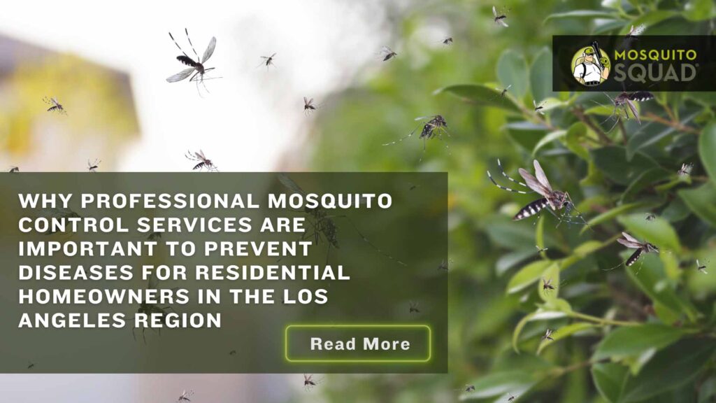 Professional Mosquito Control Services Residential Homeowners Los Angeles Region