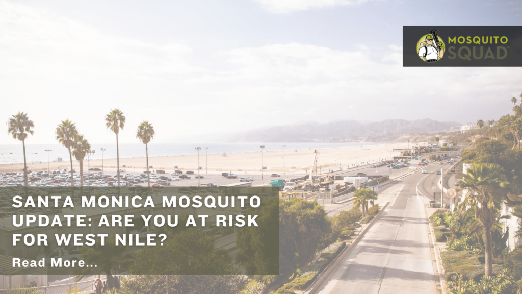 Santa Monica mosquito control services California