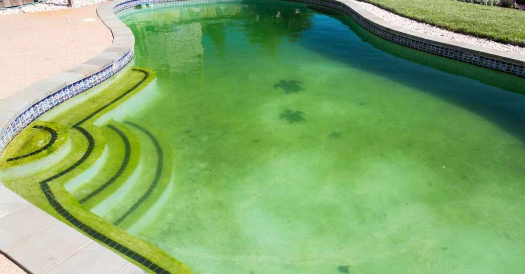 Green swimming pools