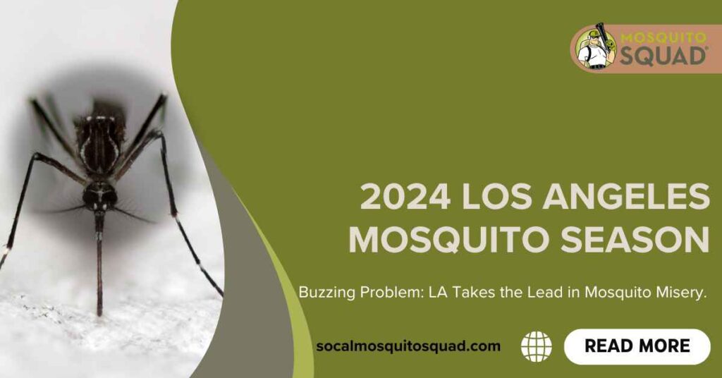 Los Angeles Mosquito Season