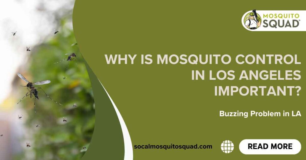 Mosquito control services LA